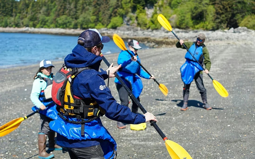 Juneau Kayak Whale Watching at Channel Islands State Marine Park Image 5
