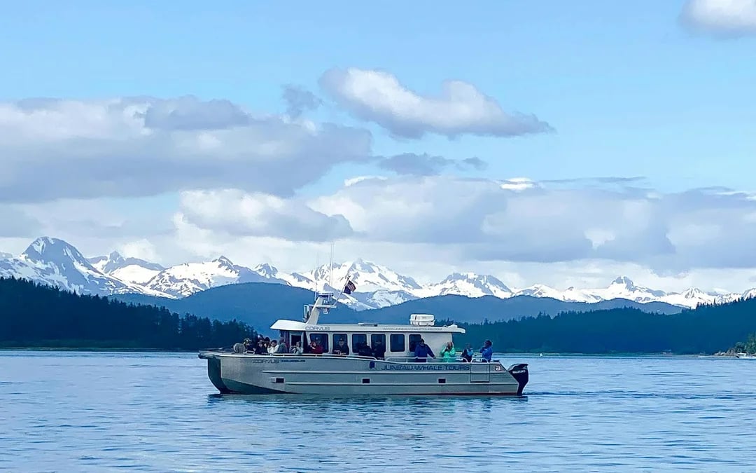 Juneau Small-Group Catamaran Whale Watching Tour Image 1