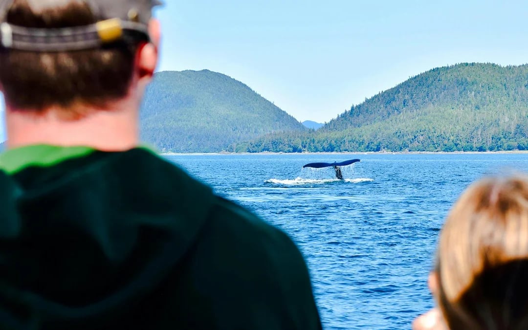 Juneau Small-Group Catamaran Whale Watching Tour Image 2