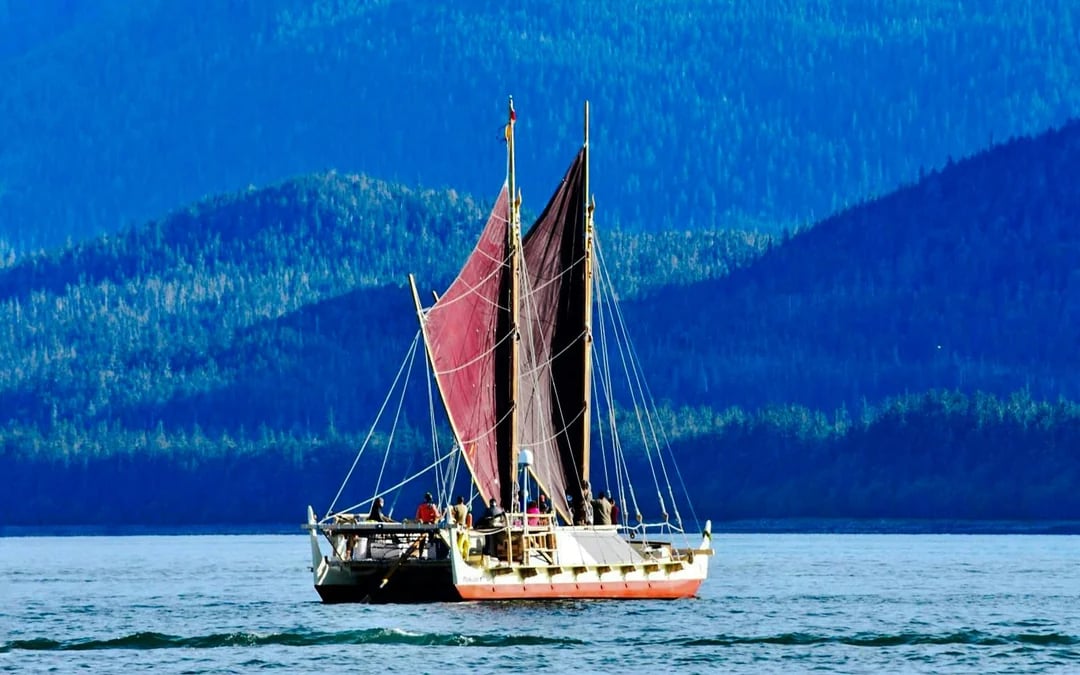 Juneau Small-Group Catamaran Whale Watching Tour Image 5