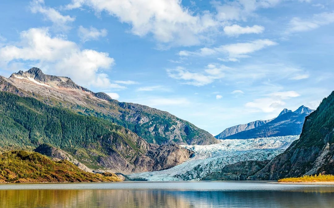 Juneau Whale Watching with Mendenhall Glacier Visitor Center and Nugget Falls Hike Image 4