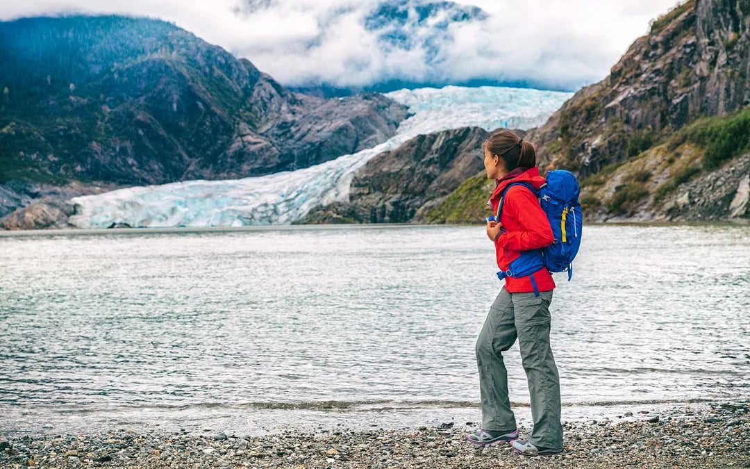 Juneau Whale Watching with Mendenhall Glacier Walking Tour Image 1