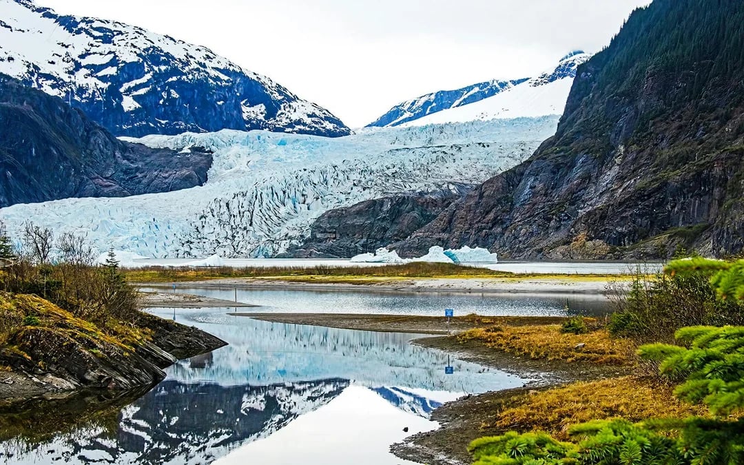 Juneau Whale Watching with Mendenhall Glacier Walking Tour Image 4