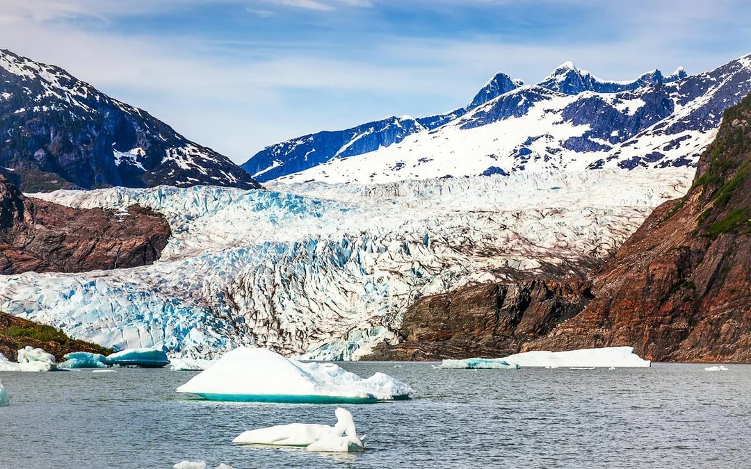 Juneau Whale Watching with Mendenhall Glacier Walking Tour Image 6