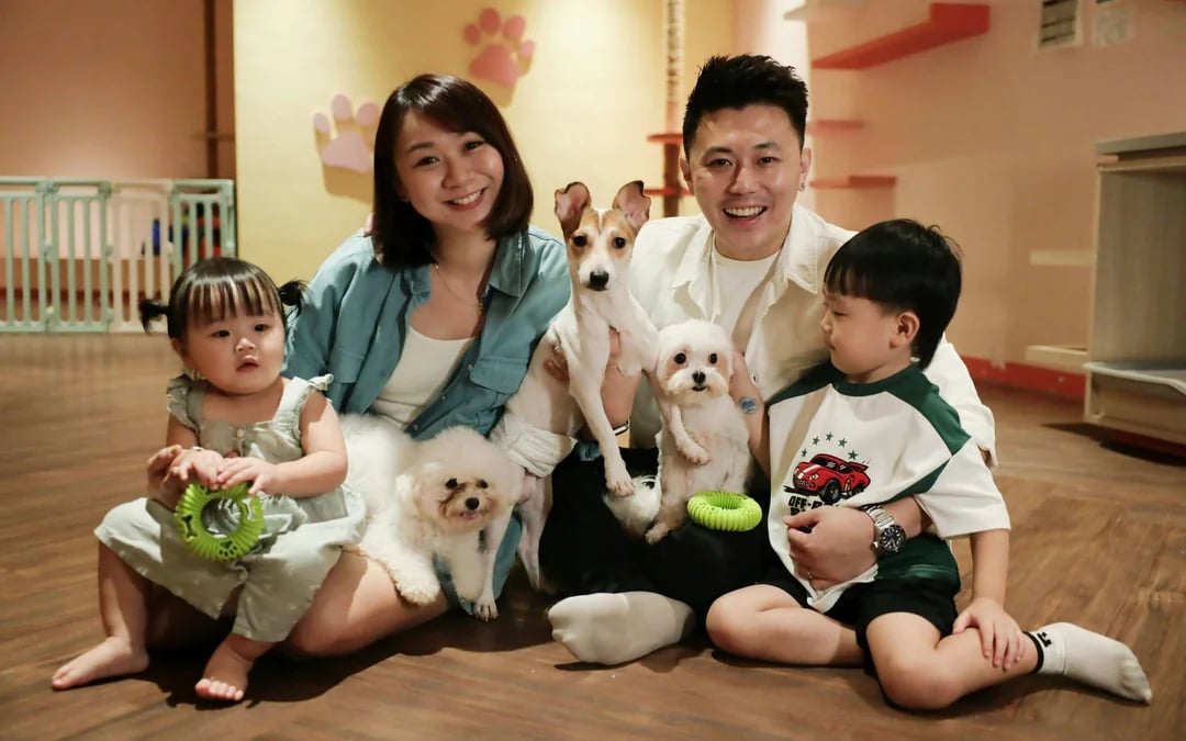 Just Dogs at Just Pets Megastore Tickets Image 1