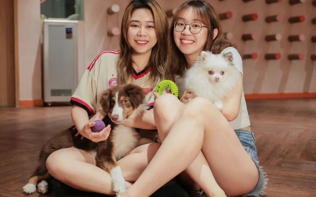 Just Dogs at Just Pets Megastore Tickets Image 3