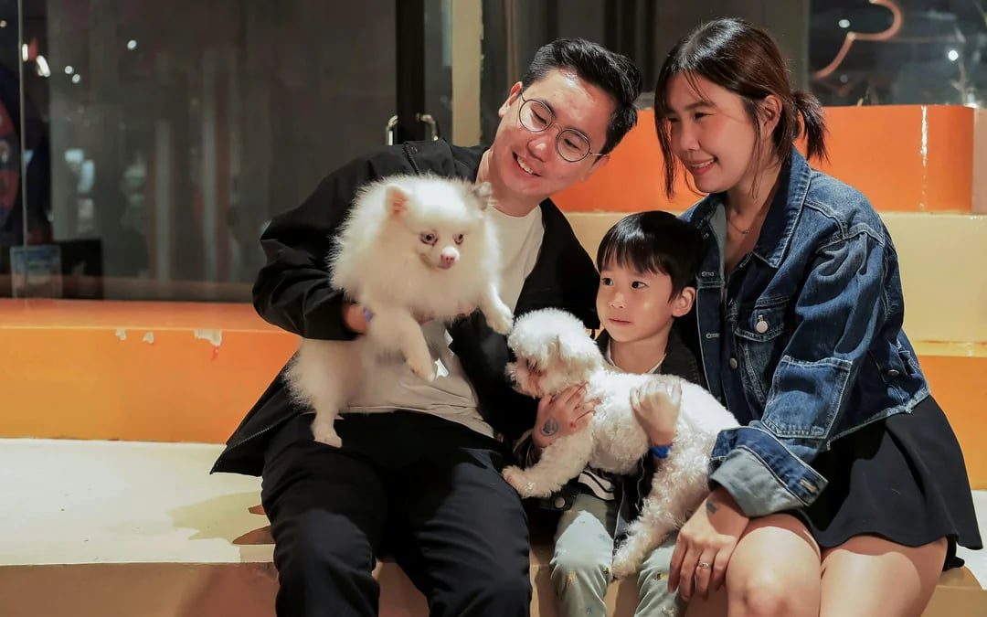 Just Dogs at Just Pets Megastore Tickets Image 4
