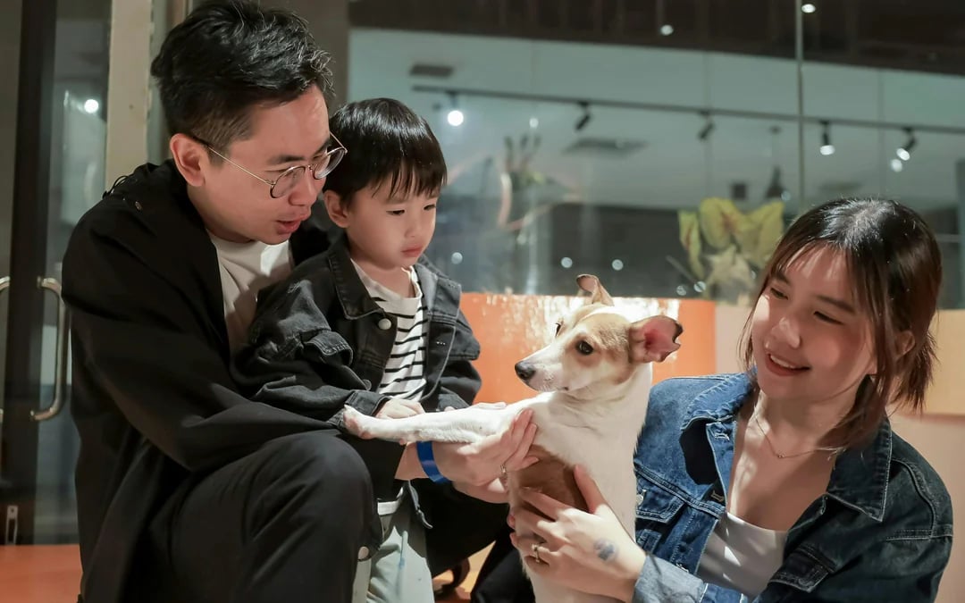 Just Dogs at Just Pets Megastore Tickets Image 6