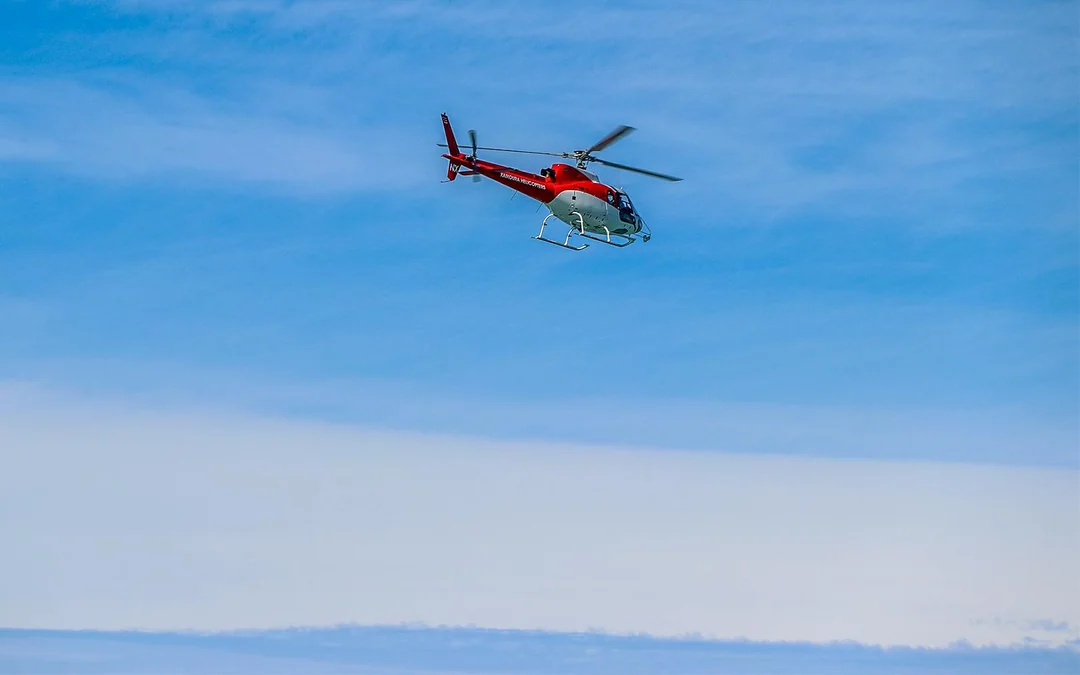 Kaikoura Classic Whale-Watching Helicopter Tour Image 2
