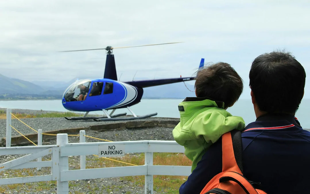 Kaikoura Classic Whale-Watching Helicopter Tour Image 3