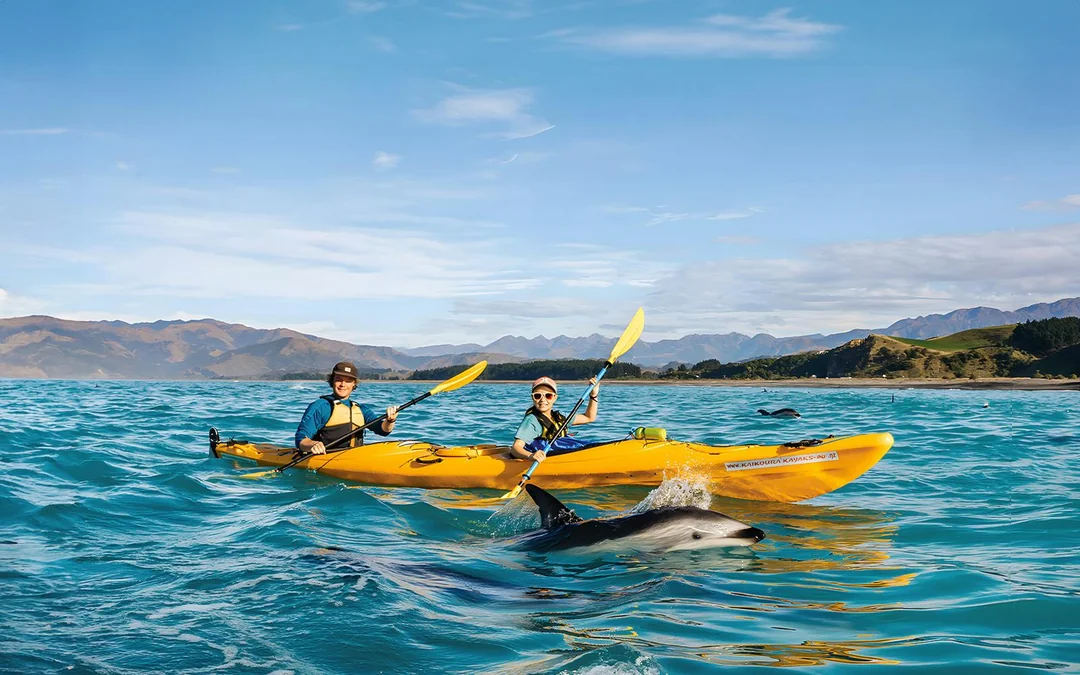 Kaikoura Guided Wildlife Kayaking Experience Image 1