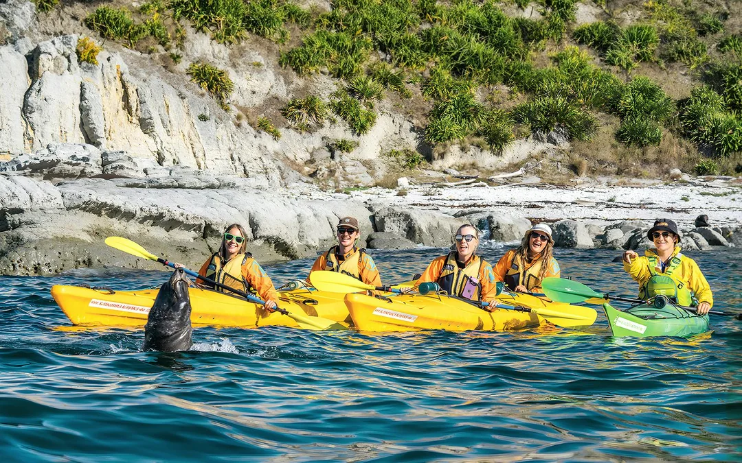 Kaikoura Guided Wildlife Kayaking Experience Image 2