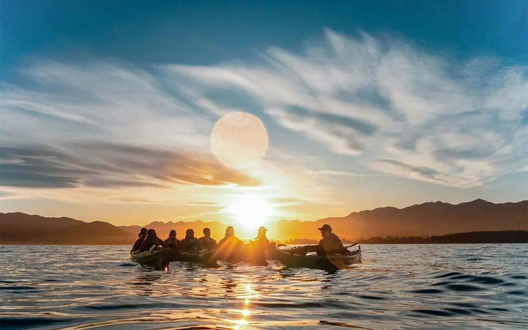 Kaikoura Guided Wildlife Kayaking Experience Image 11
