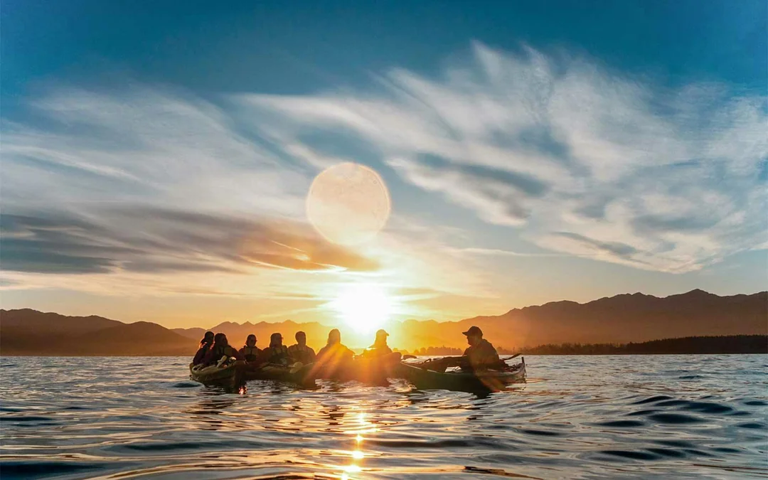 Kaikoura Guided Wildlife Kayaking Experience Image 11