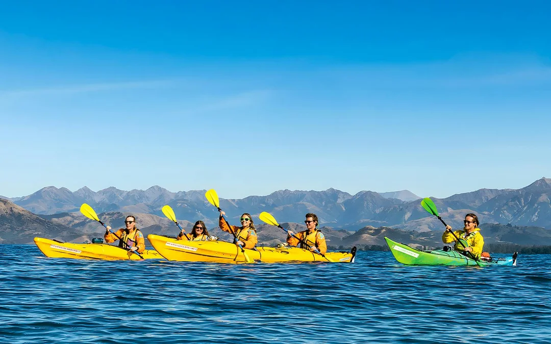 Kaikoura Guided Wildlife Kayaking Experience Image 4