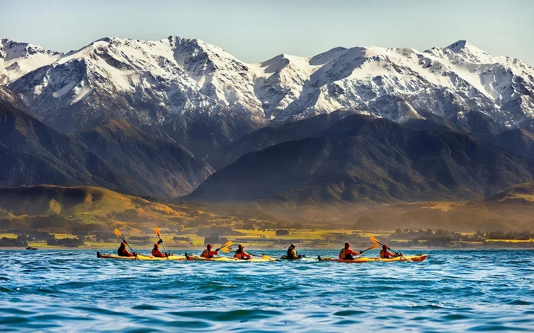 Kaikoura Guided Wildlife Kayaking Experience Image 7