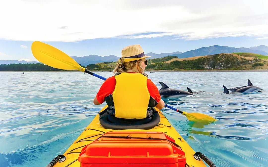 Kaikoura Guided Wildlife Kayaking Experience Image 10