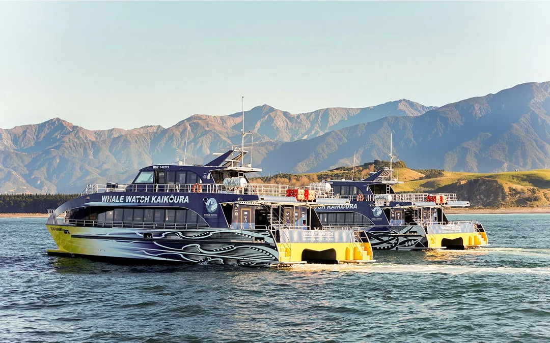 Kaikoura Whale Watching Cruise Image 1