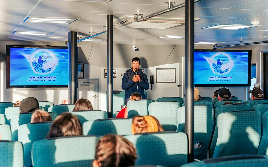 Kaikoura Whale Watching Cruise Image 3