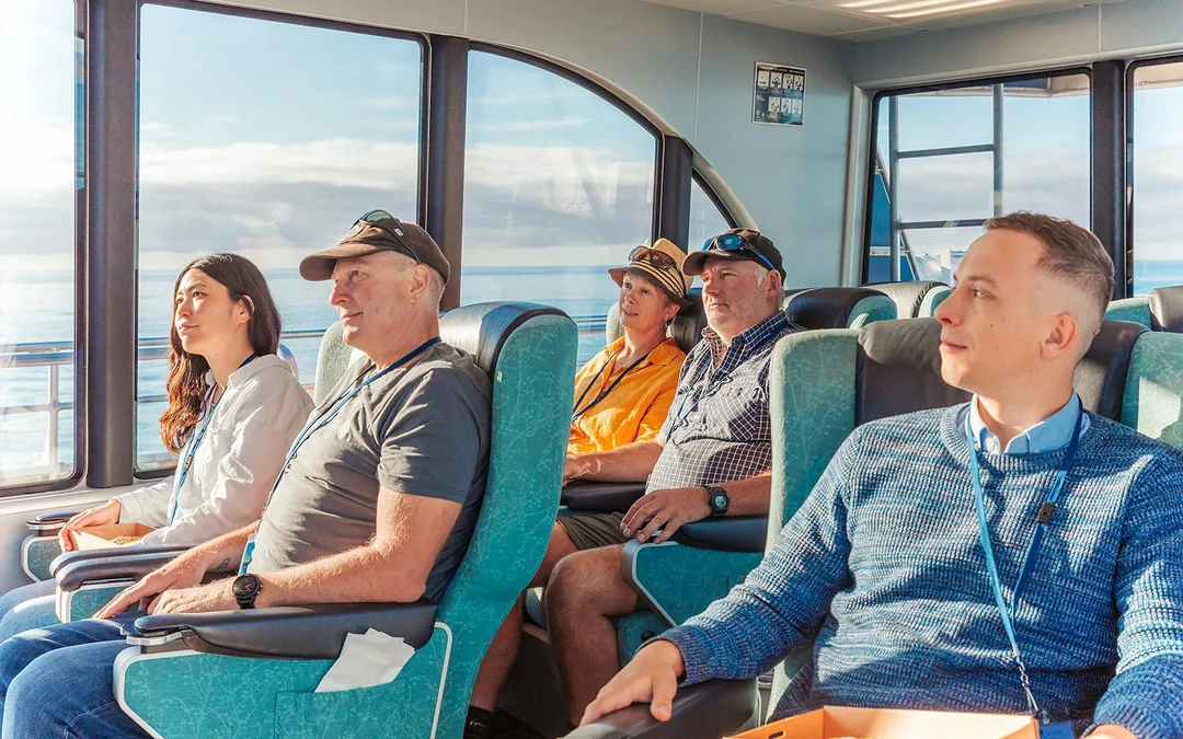 Kaikoura Whale Watching Cruise Image 4