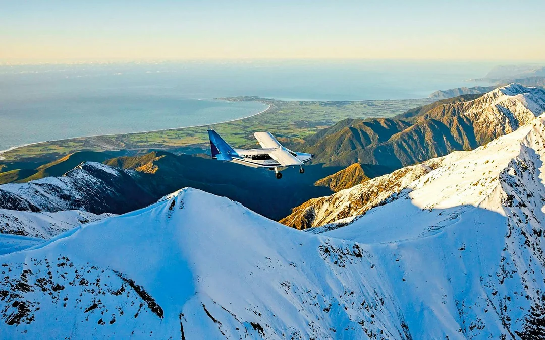 Kaikoura Whale-Watching Flight Experience Image 2
