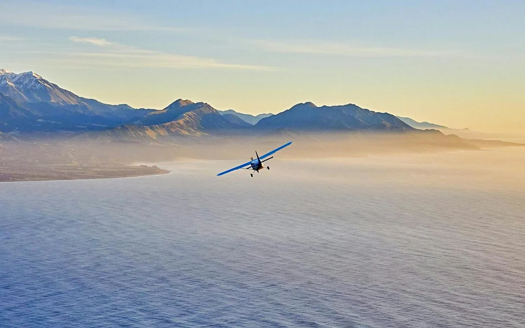 Kaikoura Whale-Watching Flight Experience Image 6