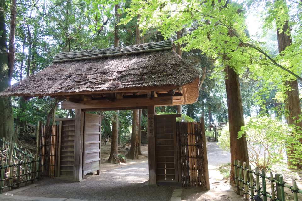 Kairakuen Main Garden admission ticket (Mito City, Ibaraki Prefecture)