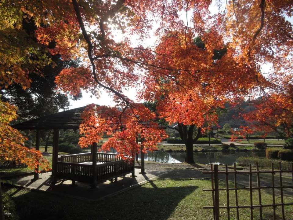 Kairakuen Main Garden admission ticket (Mito City, Ibaraki Prefecture)