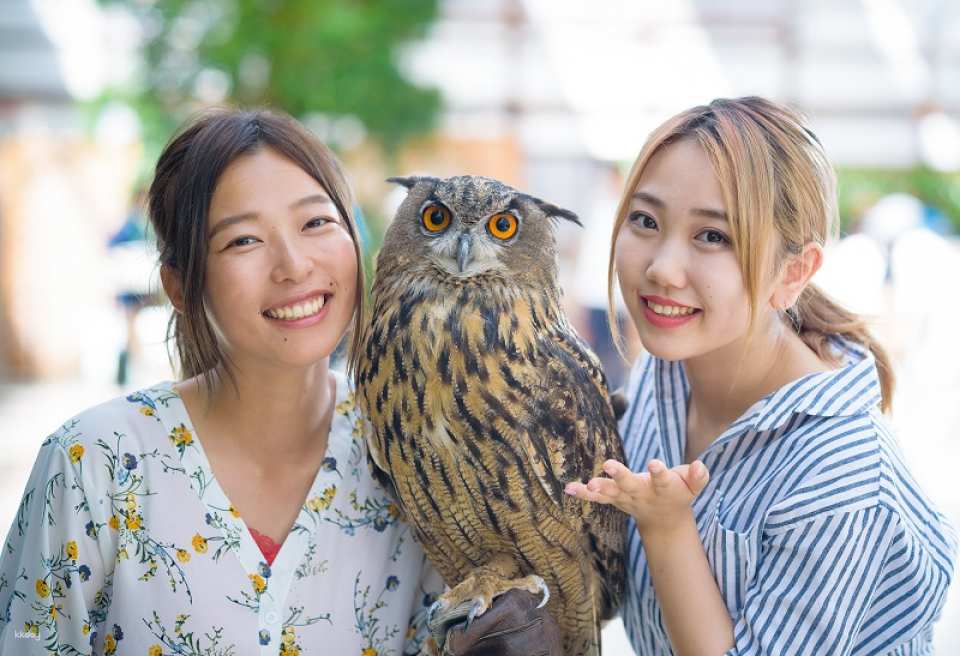 Kakegawa Kachouen: Kakegawa Flower and Bird Park | Japan