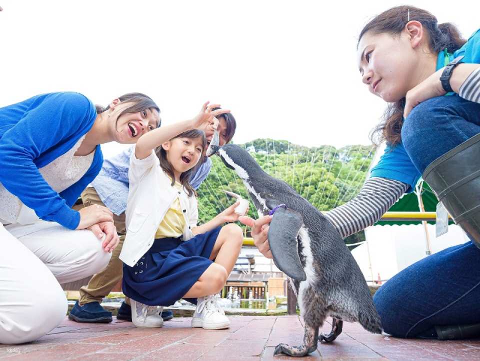 Kakegawa Kachouen: Kakegawa Flower and Bird Park | Japan