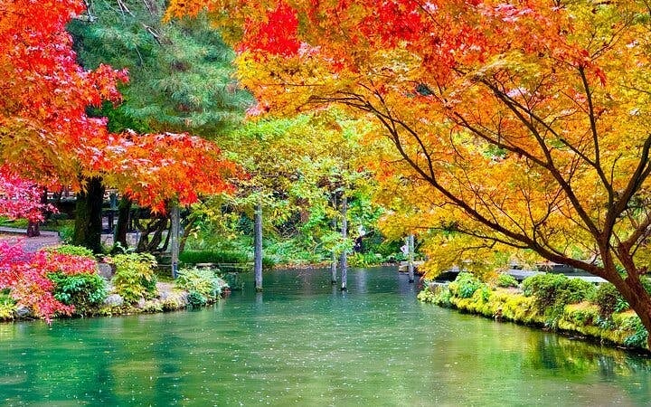 Kanazawa Private Guided Tour of Castle, Kenrokuen Garden, and Geisha District Image 9