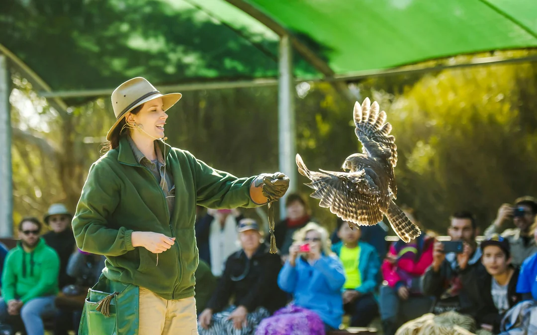 Kangaroo Island Sip & See Guided Tour with 2-Course Lunch, Return Ferry & Adelaide Transfers Image 3