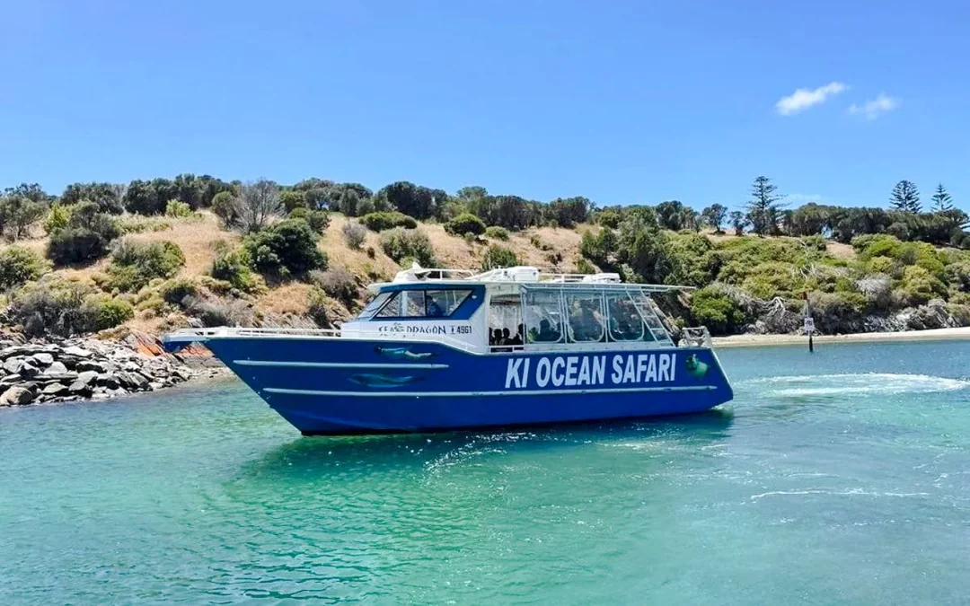 Kangaroo Island: Swim with Dolphins & Seals Snorkel Boat Tour Image 11