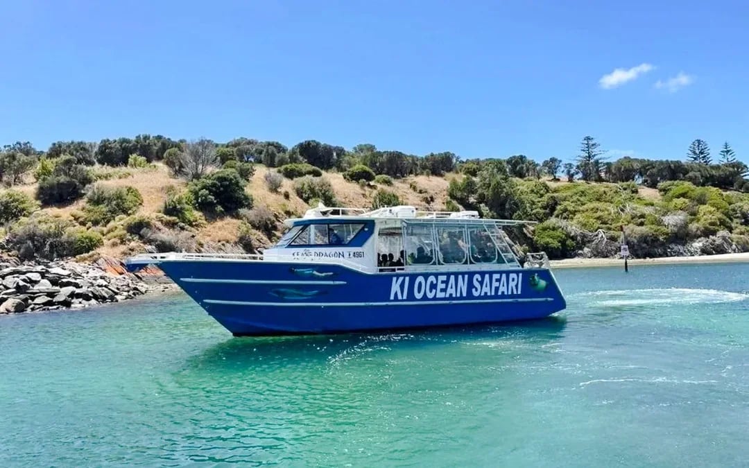 Kangaroo Island Wildlife Spotting Coastal Boat Tour Image 11
