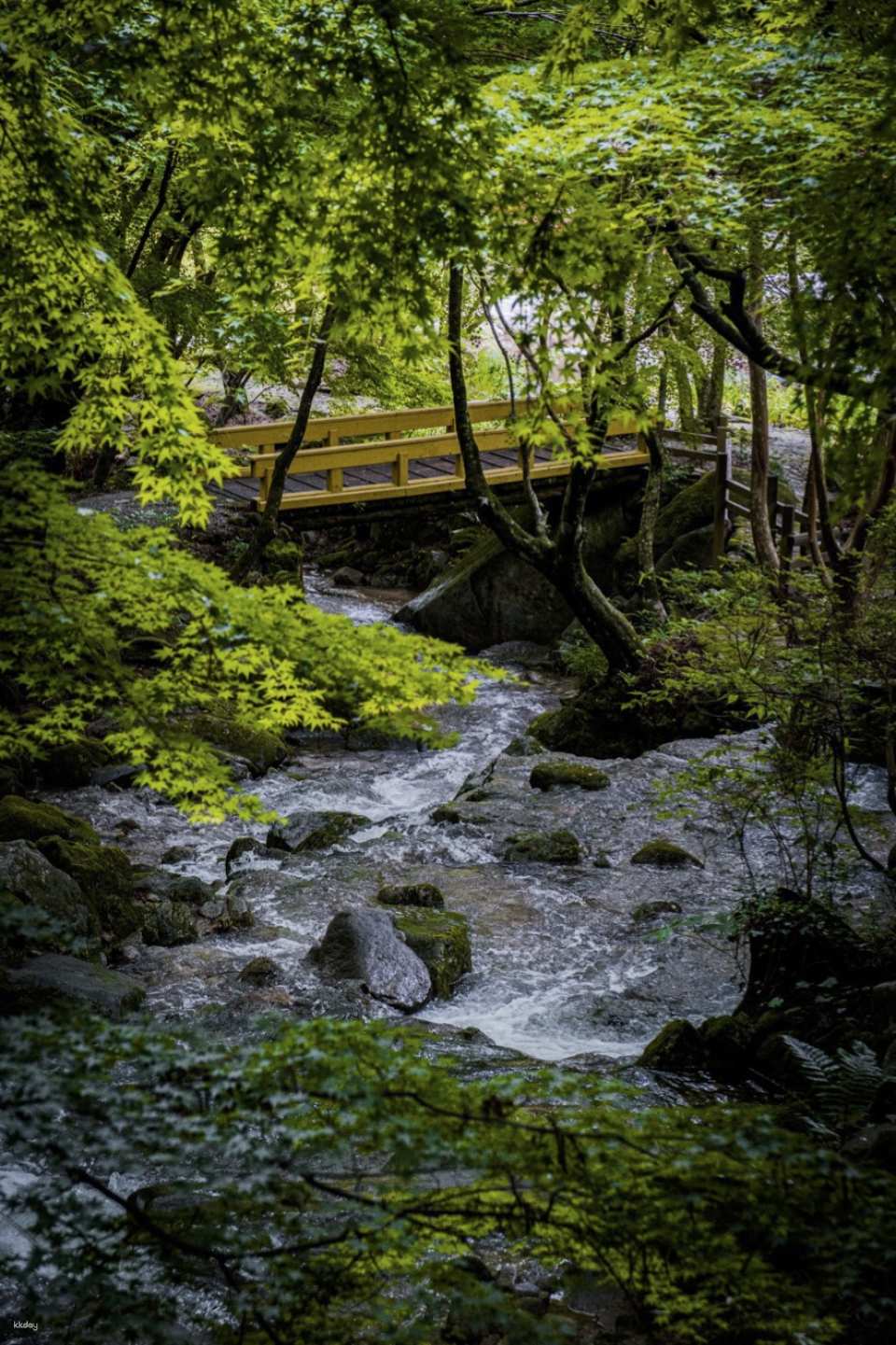 Kankyo Geijutsu No Mori (Forest of Environmental Art) Ticket | Japan