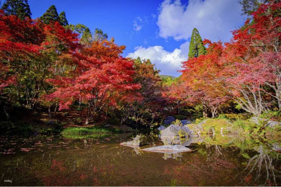 Kankyo Geijutsu No Mori (Forest of Environmental Art) Ticket | Japan