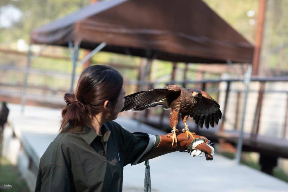 Kaohsiung Wild Forest Animal School Tickets