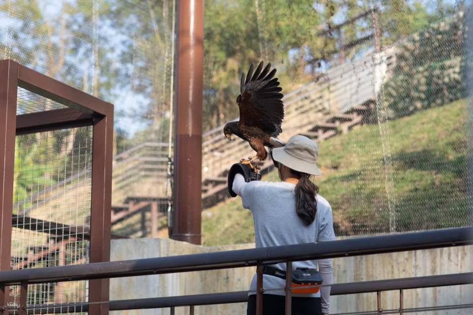 Kaohsiung Wild Forest Animal School Tickets