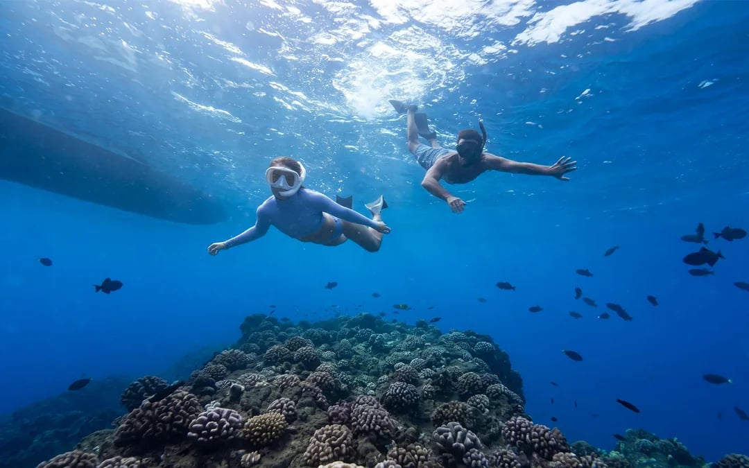 Kaula Kai Snorkel Image 1