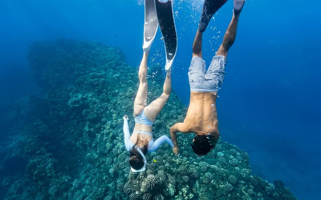 Kaula Kai Snorkel Image 6