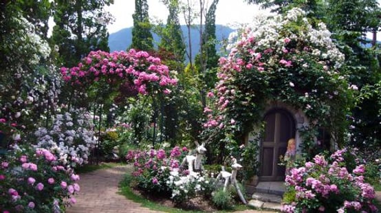 Kawaguchiko Music Forest Museum
