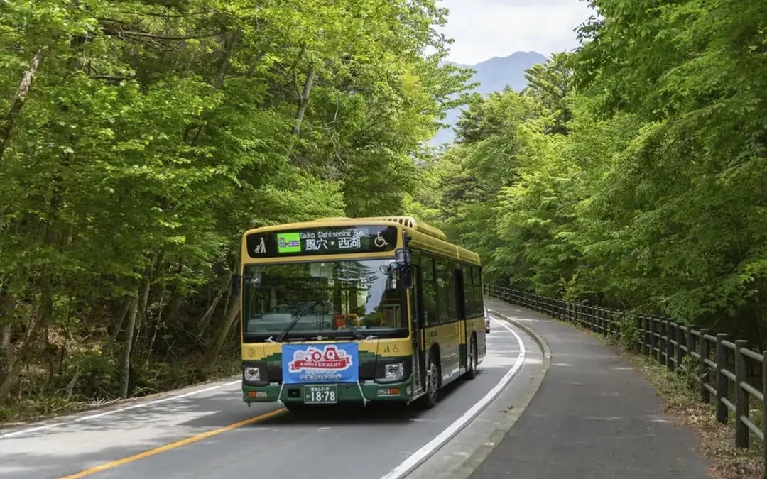 Kawaguchiko sight-boat “Appare” + Mt. Fuji Panorama Ropeway + 2-day bus pass Image 5