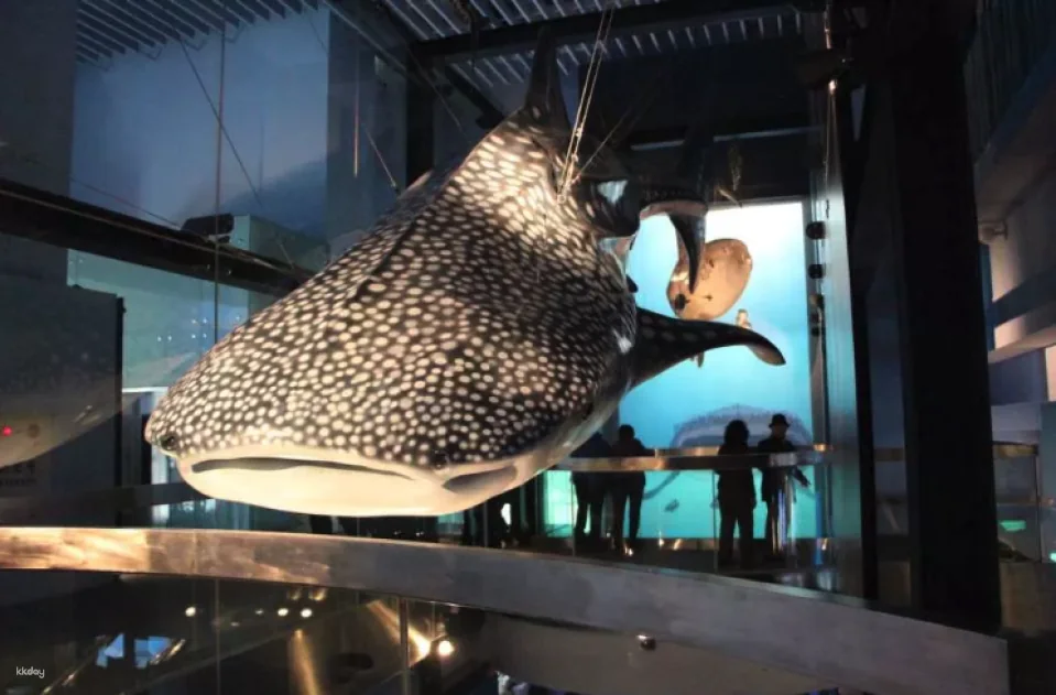 Keelung National Museum of Marine Science and Technology | Tickets & Immersive Exploration Gamebook