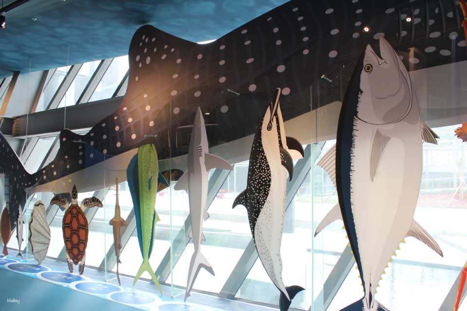 Keelung National Museum of Marine Science and Technology | Tickets & Immersive Exploration Gamebook