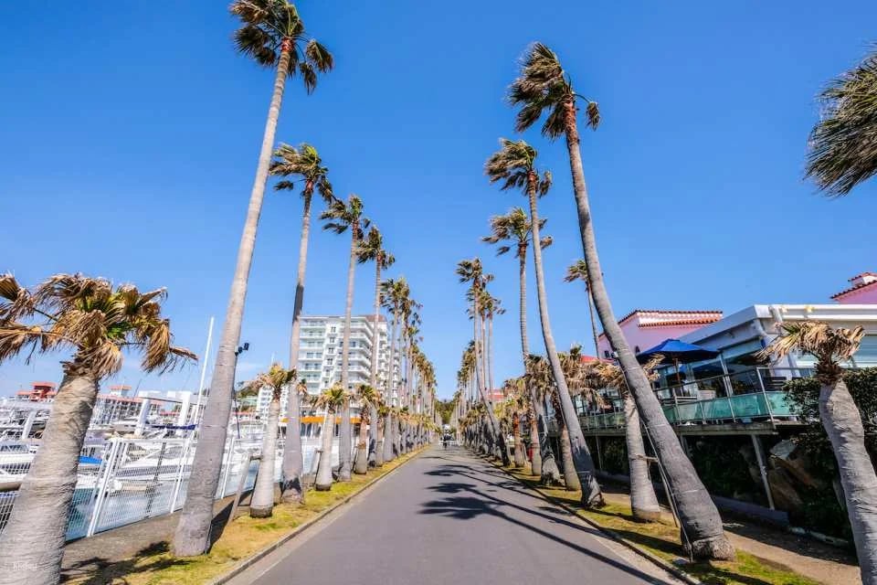 Keikyu Hayama Excursion Discount Ticket｜Departing from Shinagawa or Yokohama | Buy and Use Instantly