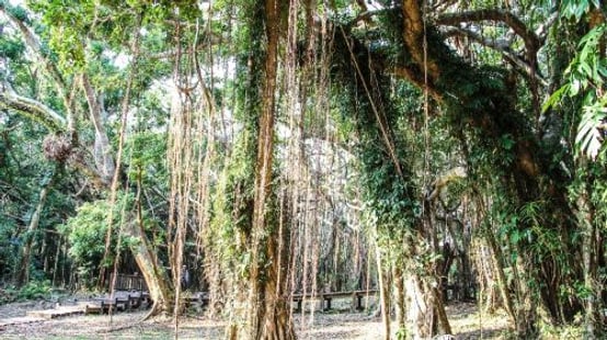 Kenting National Forest Recreation Area