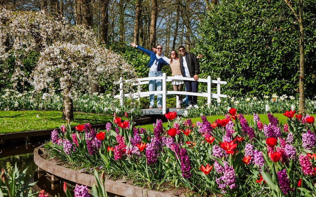Keukenhof and Zaanse Schans Full-Day Trip from Amsterdam Image 2