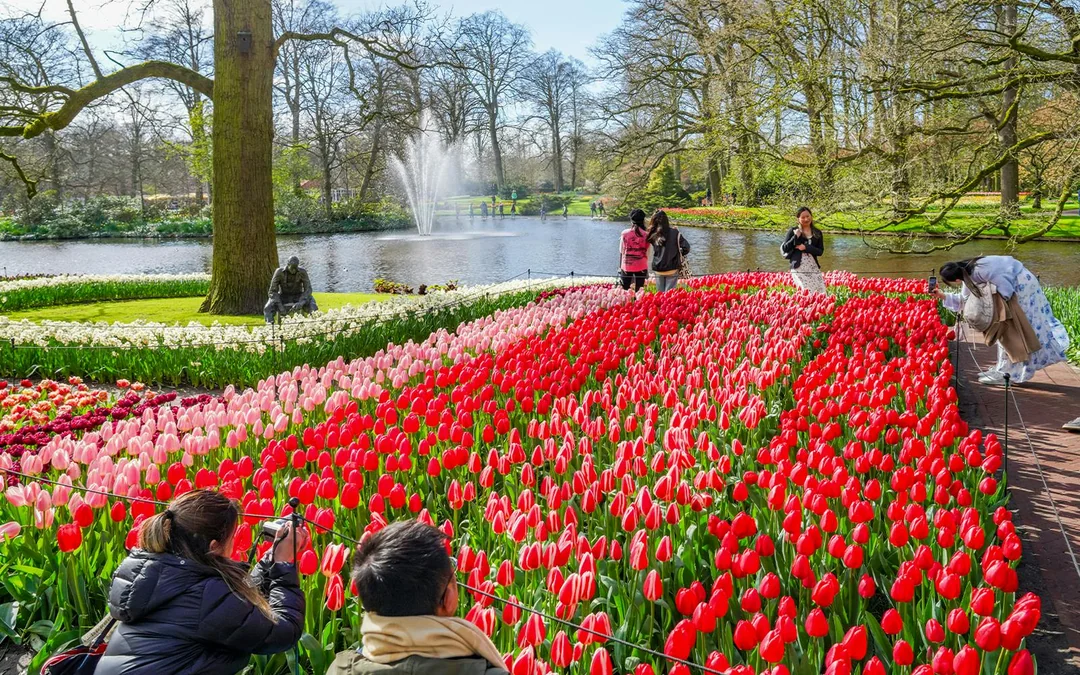 Keukenhof Entry Tickets Image 2