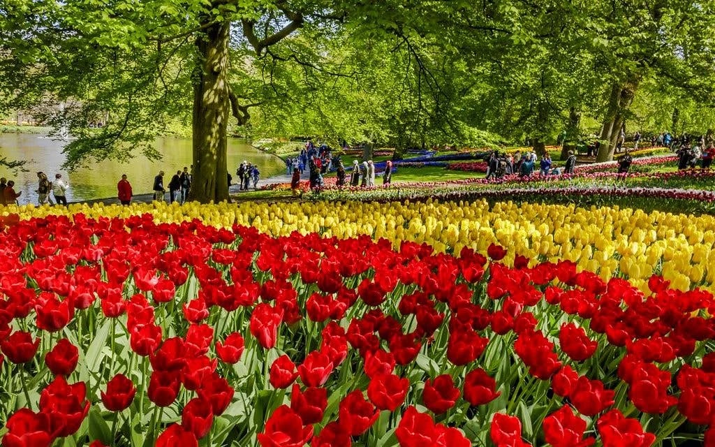 Keukenhof Entry Tickets Image 11
