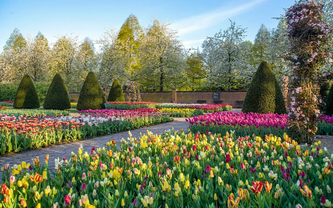 Keukenhof Entry Tickets Image 12